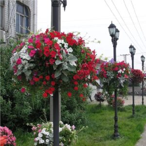 فروش فلاورباکس طبقاتی پایه چراغ مدل S-2