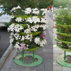 فلاورباکس طبقاتی هیلدا مدل دور درختی T-5