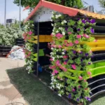 شهر کلبه سبز هیلدا اتاق سبز آلاچیق HA-60