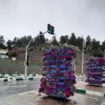 فالورباکس هیلدا گلدان طبقاتی بیضی b-9