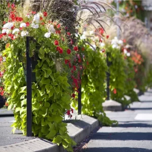 نرده حصار سبز هیلدا گارد ریل سبز R-3