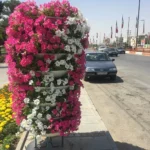 فلاور باکس طبقاتی گرد استوانه هیلدا G-8