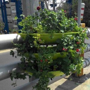 فلاور باکس خورجینی نیم گرد گلدان پالونی P-2-T