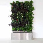 دیوار گل پیوسته طبیعی هیلدا HD-2