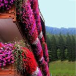 فلاور باکس خورجینی طبقاتی هیلدا P-3-T