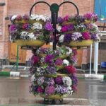 فلاورباکس سازه‌ای هیلدا طرح نخل N-11