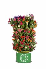 فلاور باکس طبقاتی نیم گرد طرح ورودی V-9