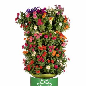 فلاور باکس طبقاتی نیم گرد طرح ورودی V-9