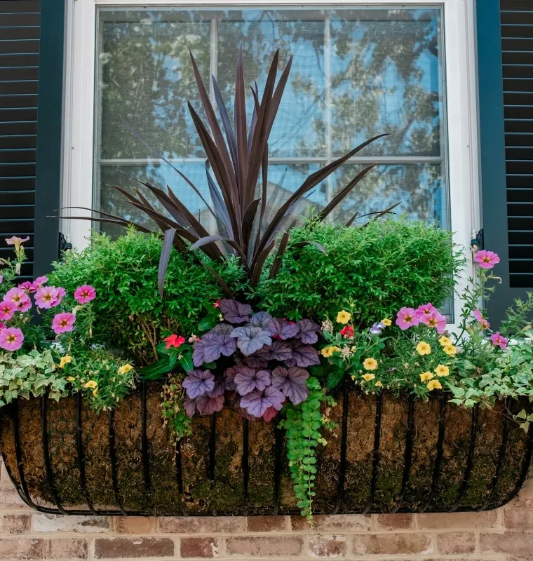 GettyImages-2158349956-window-box-flowers-window-planter-with-assorted-plants